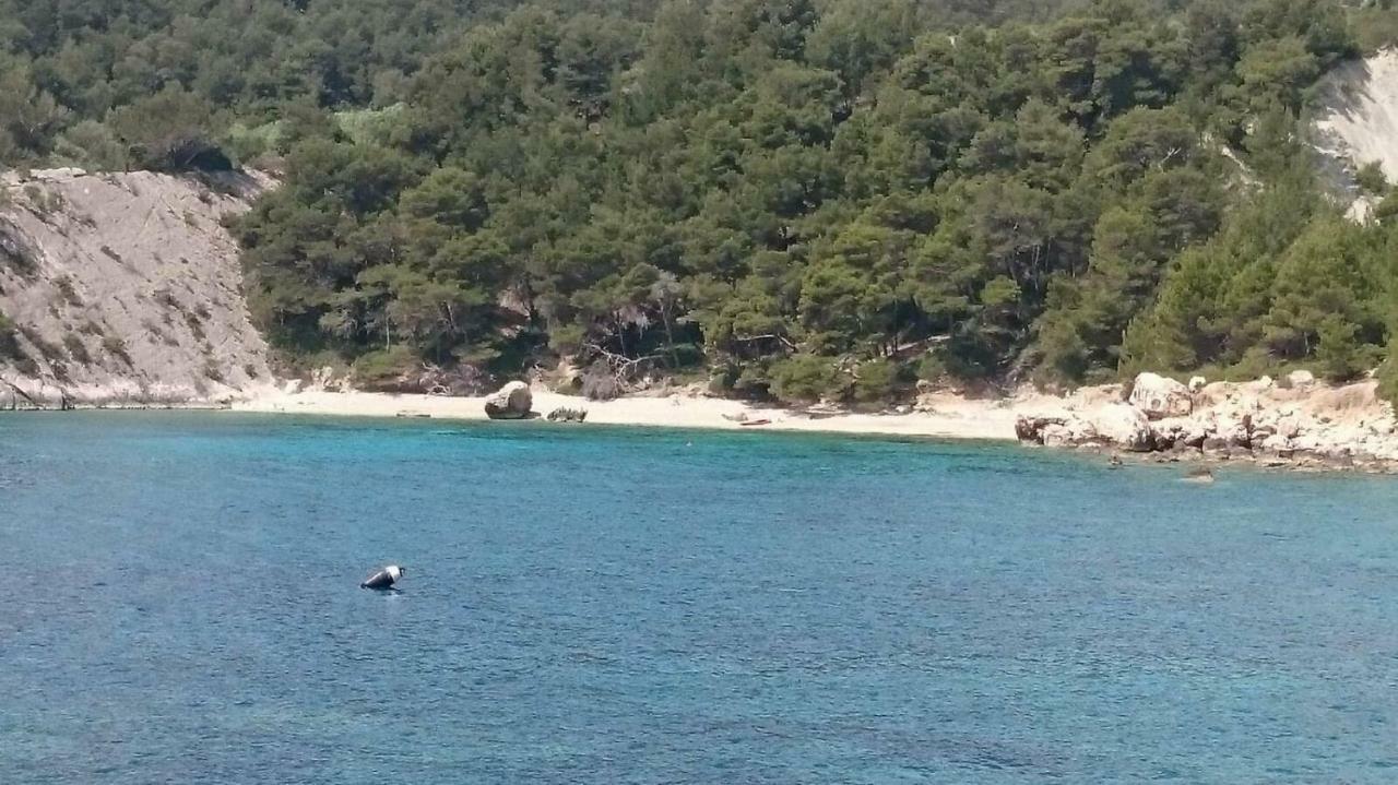 Villa Fortudor Μίλνα Εξωτερικό φωτογραφία